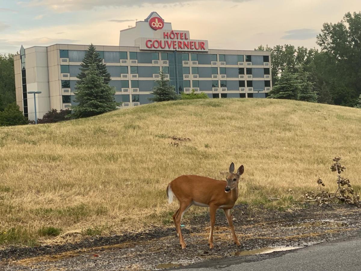 Hotels Gouverneur Montreal - Ile Charron Бушервил Екстериор снимка